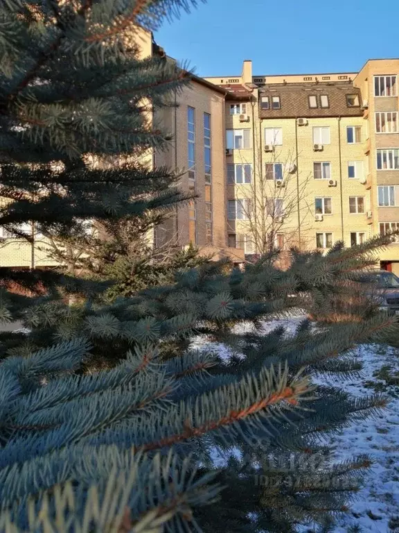 Помещение свободного назначения в Московская область, Мытищи ул. ... - Фото 1