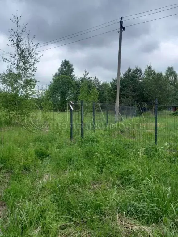 Участок в Ленинградская область, Лодейнопольское городское поселение, ... - Фото 1