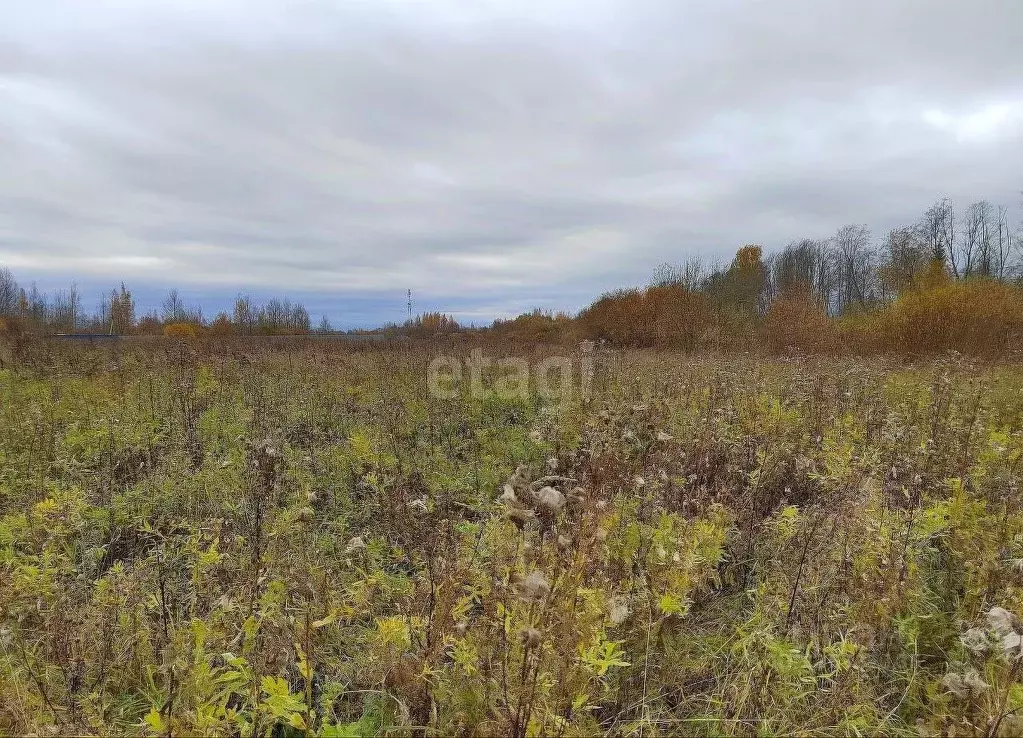 Участок в Ленинградская область, Волховский район, Вындиноостровское ... - Фото 1