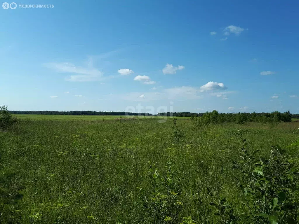 Участок в Томский район, село Корнилово (9.3 м) - Фото 0