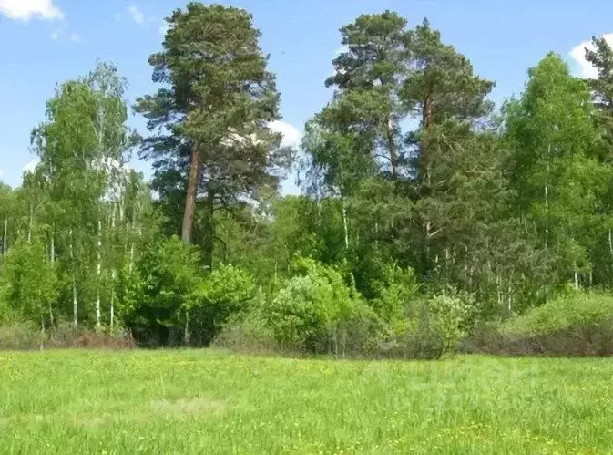 Участок в Калужская область, Тарусский район, Алекино с/пос, д. ... - Фото 1