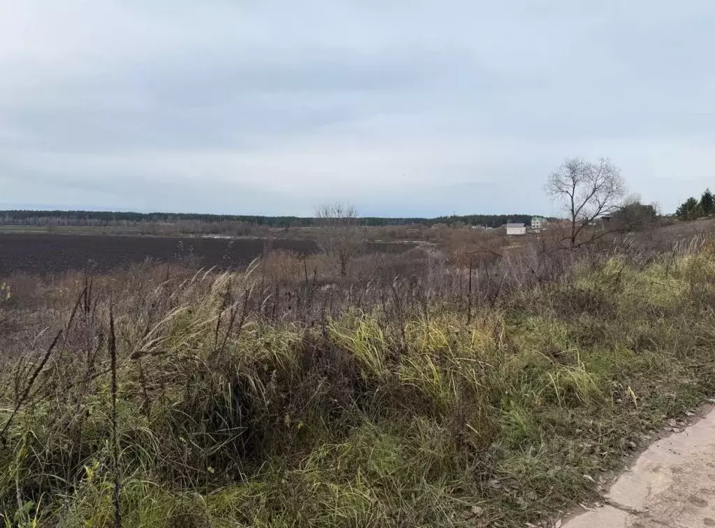 Участок в Московская область, Серпухов городской округ, д. Дракино  ... - Фото 1