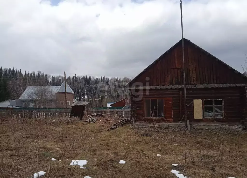 Участок в Алтай, Турочакский район, с. Турочак ул. Боляева (16.0 сот.) - Фото 1