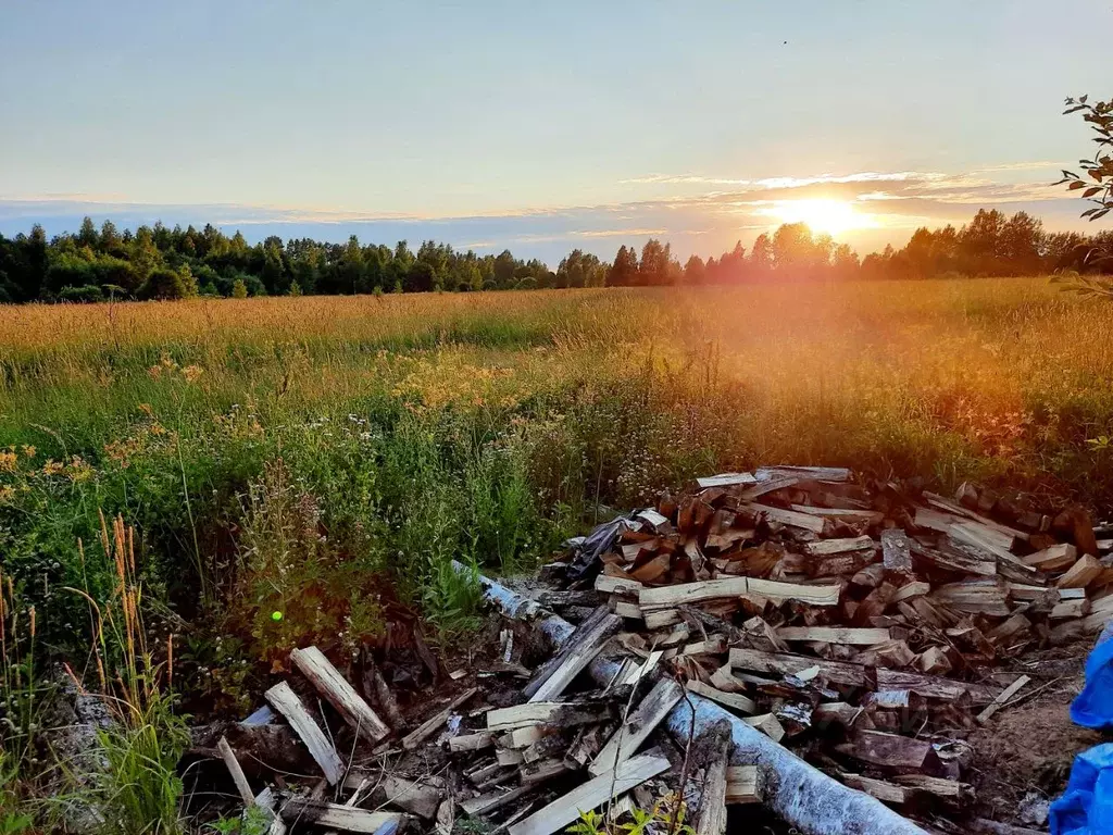 Участок в Тверская область, Кимрский муниципальный округ, д. Паньсково ... - Фото 1