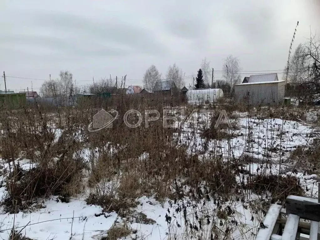 Участок в Тюменская область, Тюмень Факел СНТ, 7-я линия (11.0 сот.) - Фото 2