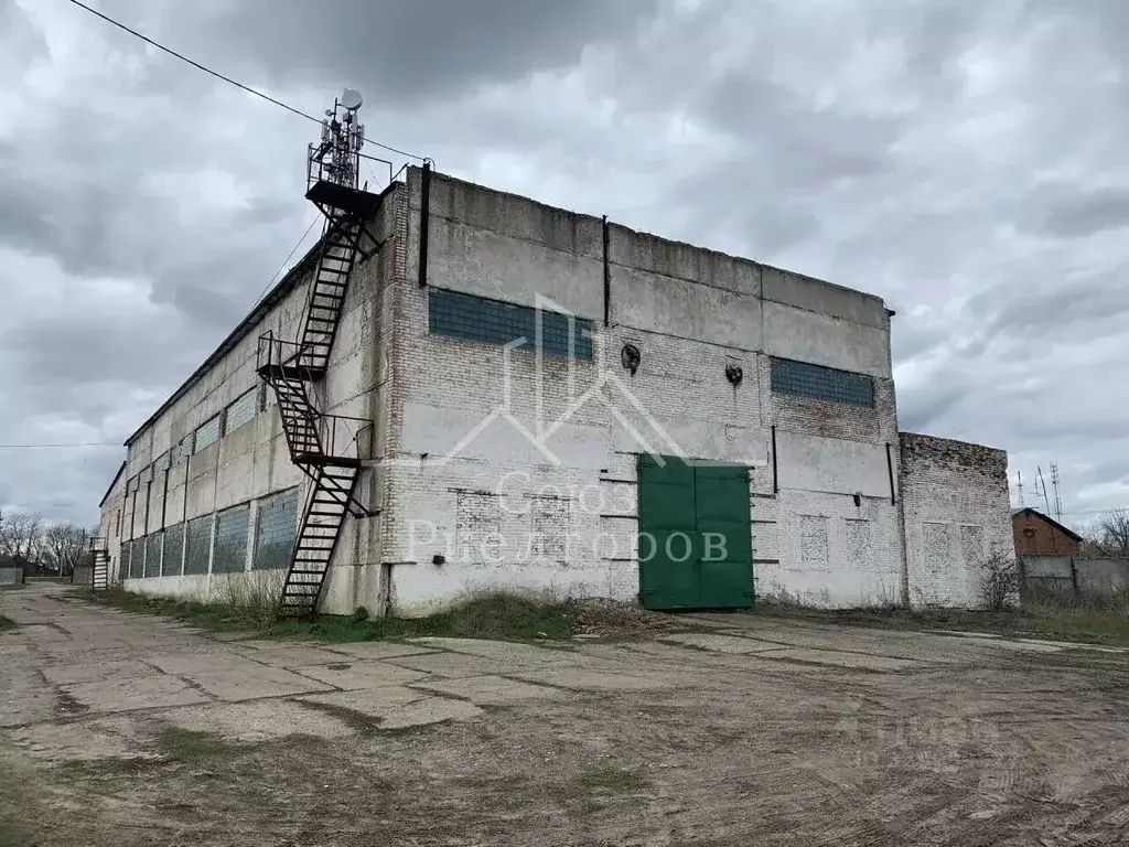 Производственное помещение в Тамбовская область, Сосновка рп ул. ... - Фото 1