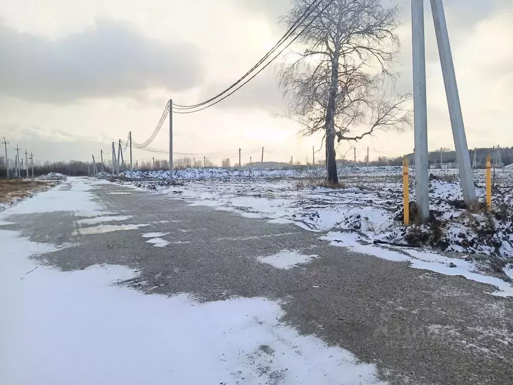 Участок в Новосибирская область, Новосибирский район, Кудряшовский ... - Фото 1