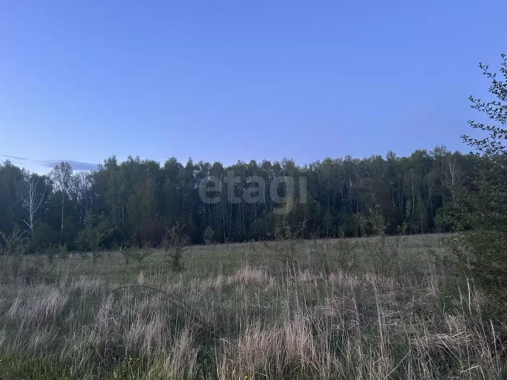 Участок в Тульская область, Тула городской округ, д. Уваровка  (113.0 ... - Фото 1