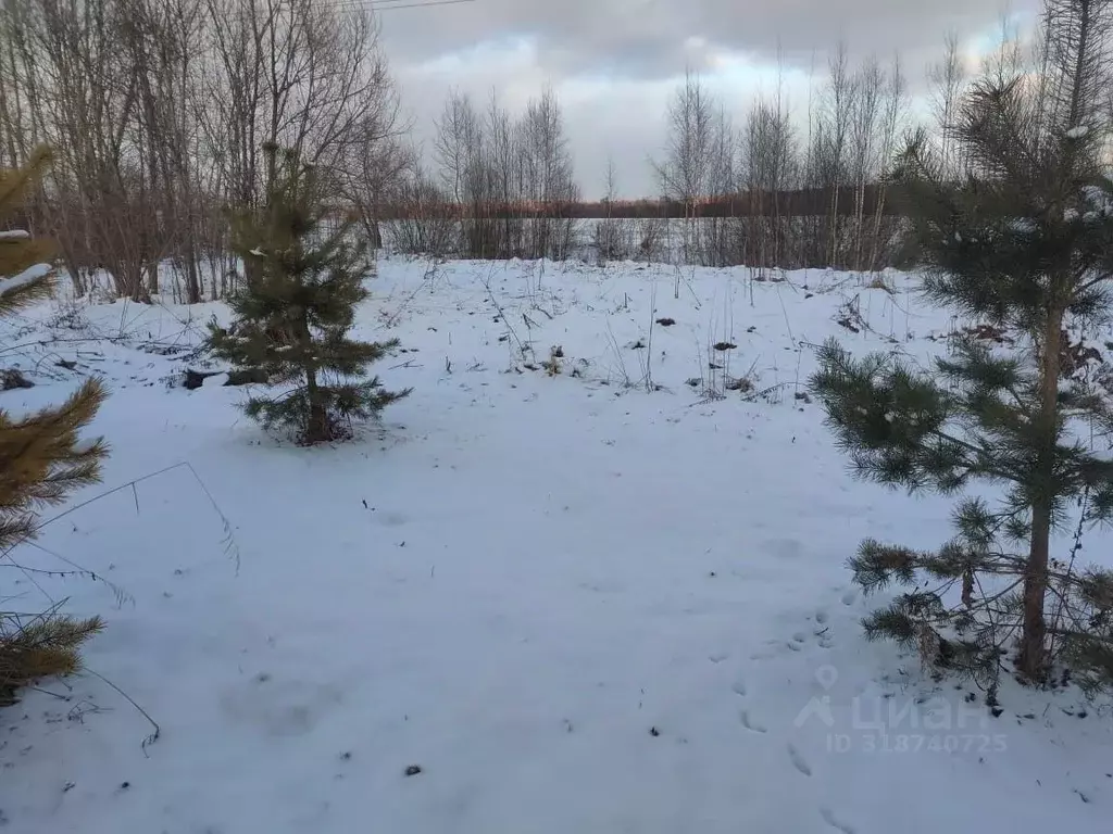 Участок в Московская область, Клин городской округ, д. Бирево  (10.0 ... - Фото 1
