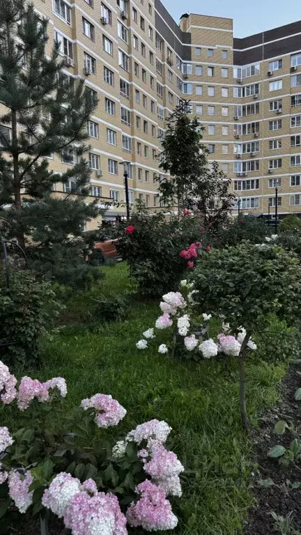 2-к кв. Москва ул. Татьянин Парк, 14к4 (50.0 м) - Фото 2