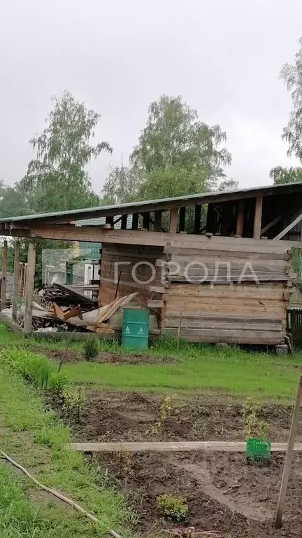 Участок в Новосибирская область, Новосибирский район, Барышевский ... - Фото 1