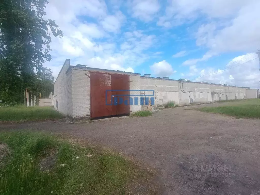 Склад в Курская область, Курский район, Камышинский сельсовет, д. ... - Фото 1