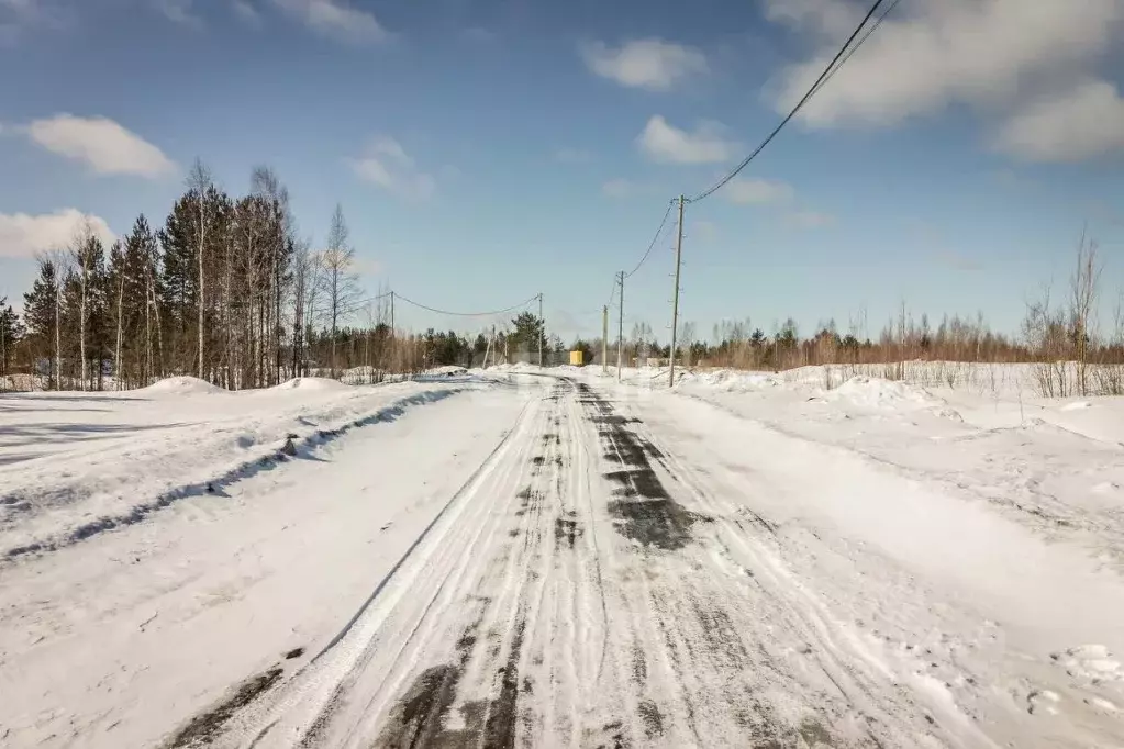 Участок в Ханты-Мансийский АО, Сургут Виктория садовое товарищество, ... - Фото 1