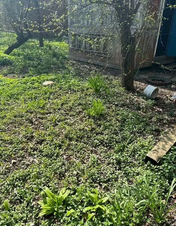 Дом в Московская область, Домодедово Березка-ГУМ СНТ, 62 (100 м) - Фото 2