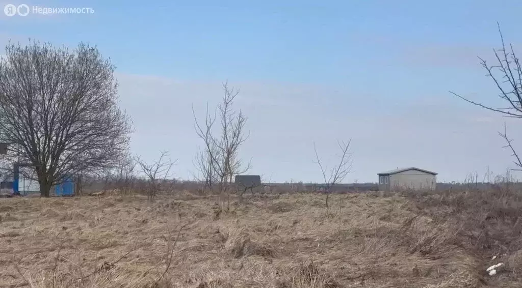 Участок в Тульская область, Венёвский муниципальный округ, посёлок ... - Фото 1