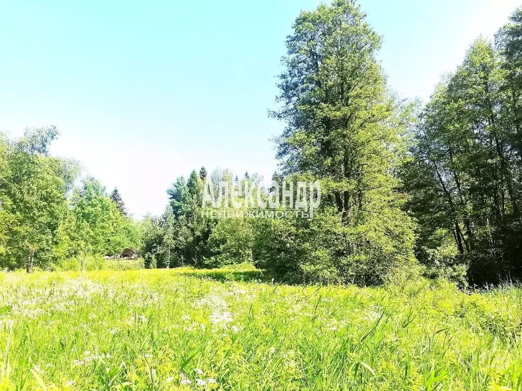 Участок в Ленинградская область, Приозерский район, Мельниковское ... - Фото 1