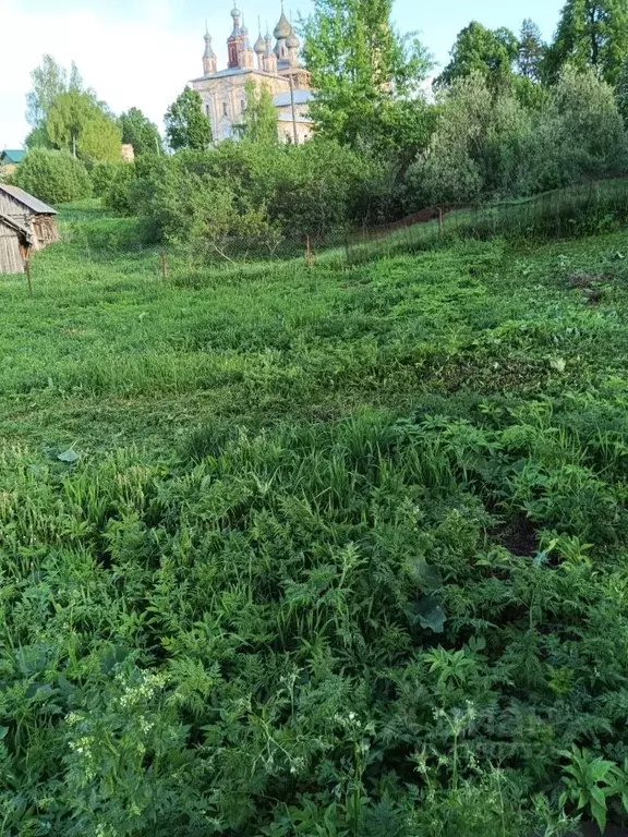 Участок в Ивановская область, Родниковский район, с. Парское ул. 1-я ... - Фото 0
