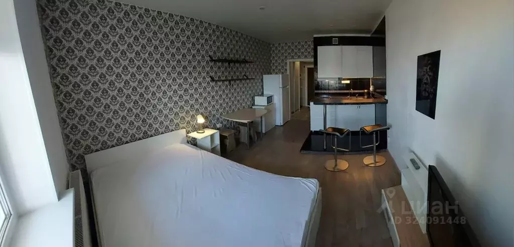 Студия Санкт-Петербург пос. Шушары, пер. Вилеровский, 6 (26.0 м) - Фото 2