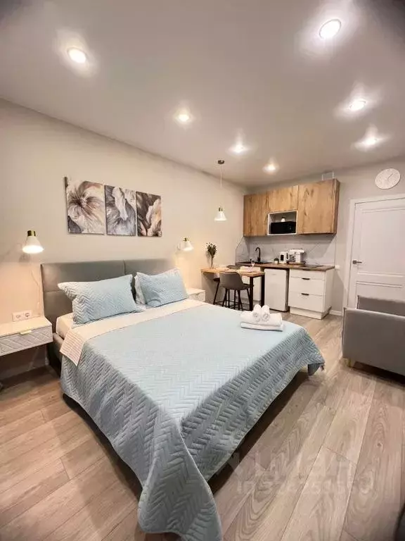 Студия Краснодарский край, Сочи ул. Искры, 88к8 (29.0 м) - Фото 1