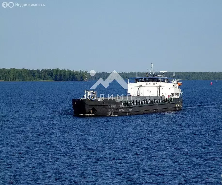 Участок в Вологодская область, Кирилловский муниципальный округ, ... - Фото 2