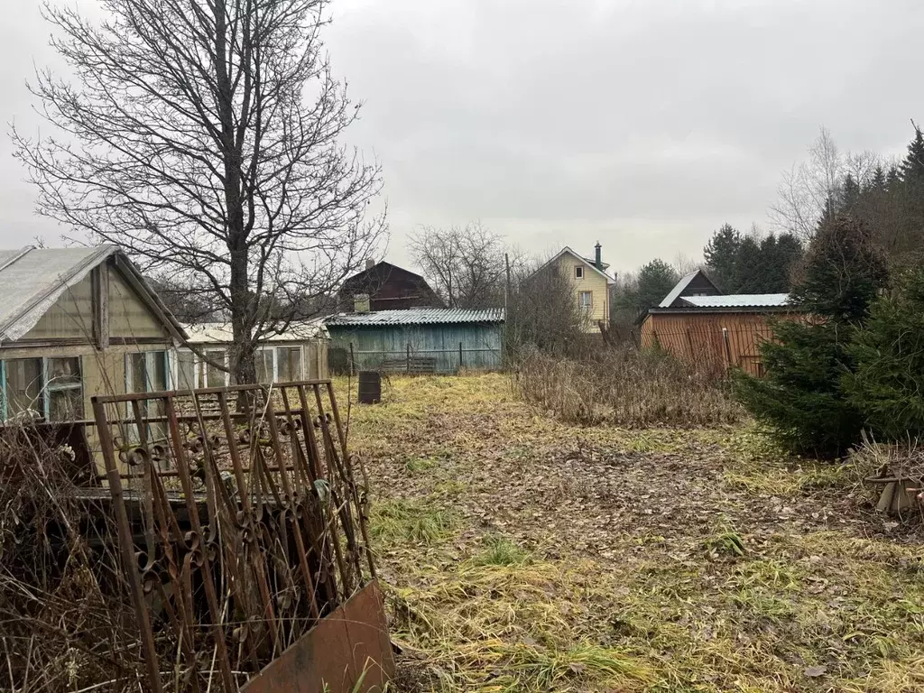 Участок в Москва Березка СМУ-16 СНТ, 104 (6.0 сот.) - Фото 1