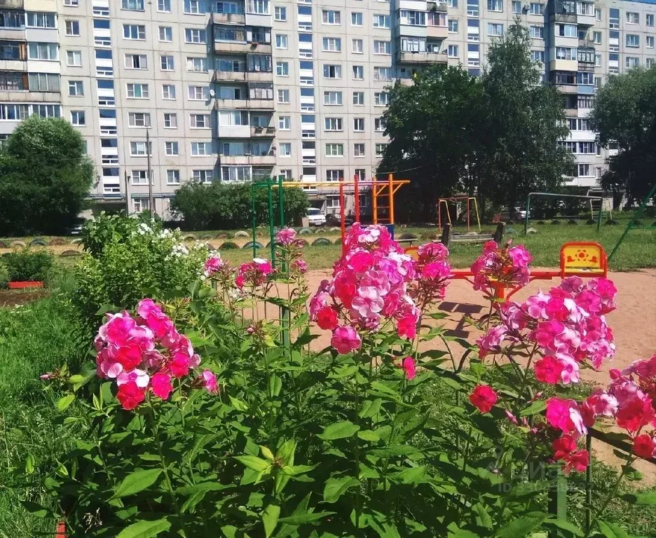 2-к кв. Новгородская область, Великий Новгород ул. Щусева, 4к1 (49.0 ... - Фото 1