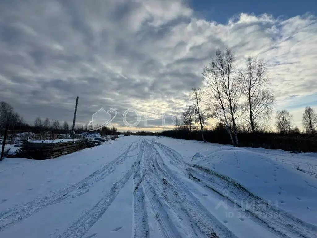 Участок в Тюменская область, Тюмень Поле Чудес садовое товарищество, ... - Фото 1