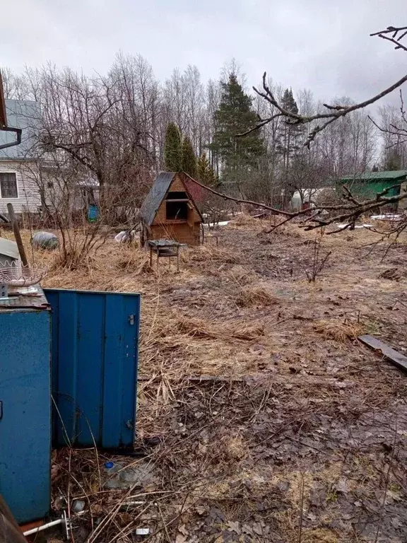 Дом в Ленинградская область, Всеволожский район, Муринское городское ... - Фото 1