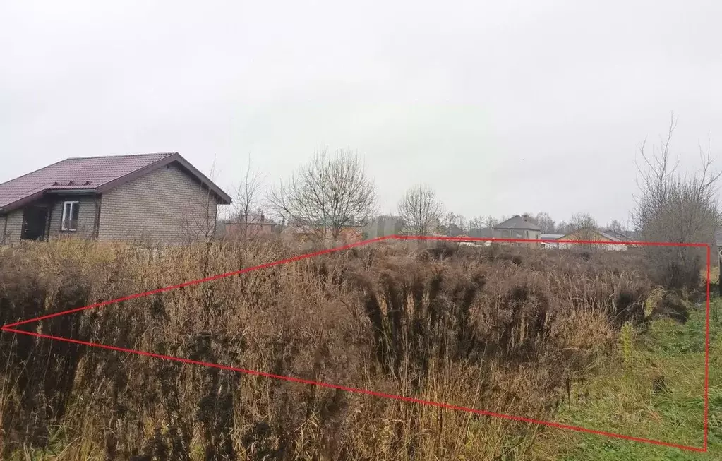 Участок в Калужская область, Ферзиковский муниципальный округ, Красный ... - Фото 2