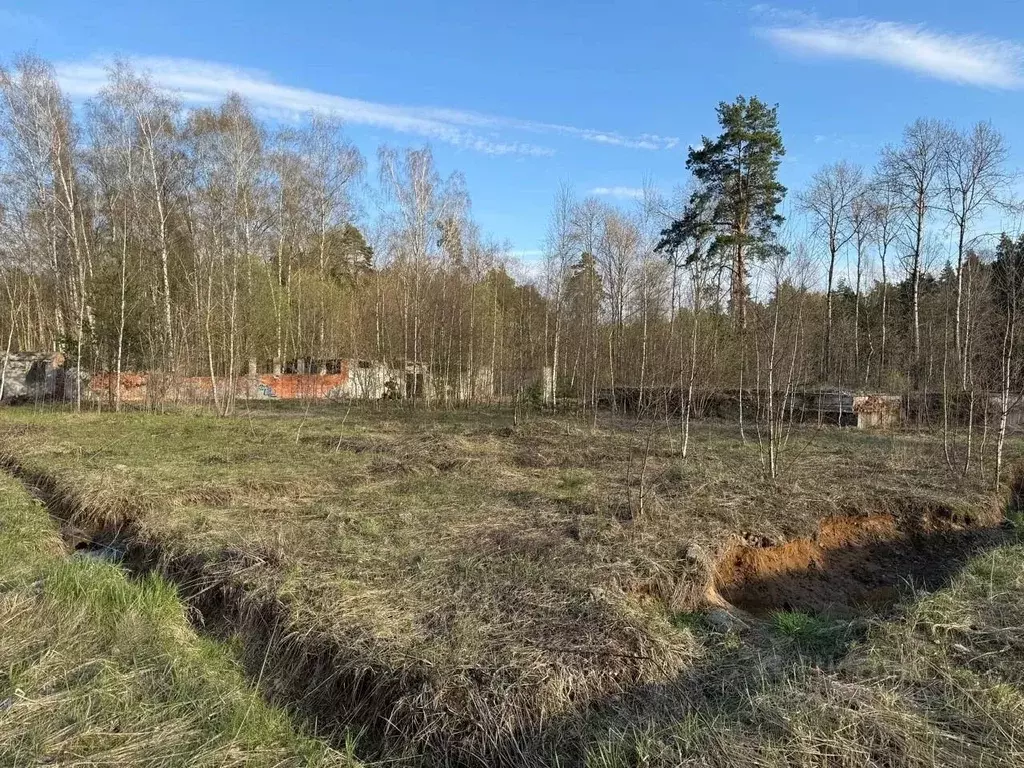 Участок в Московская область, Раменский муниципальный округ, 20396 ... - Фото 0