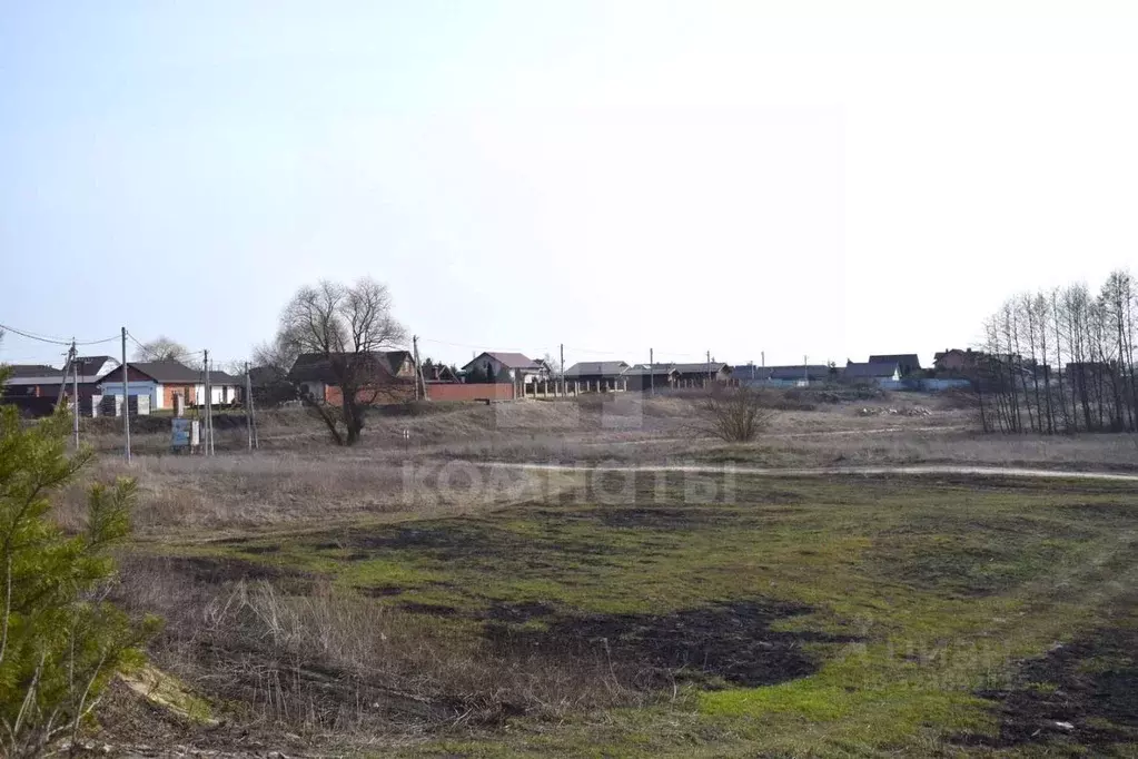Участок в Воронежская область, Рамонский район, Ступинское с/пос, с. ... - Фото 0