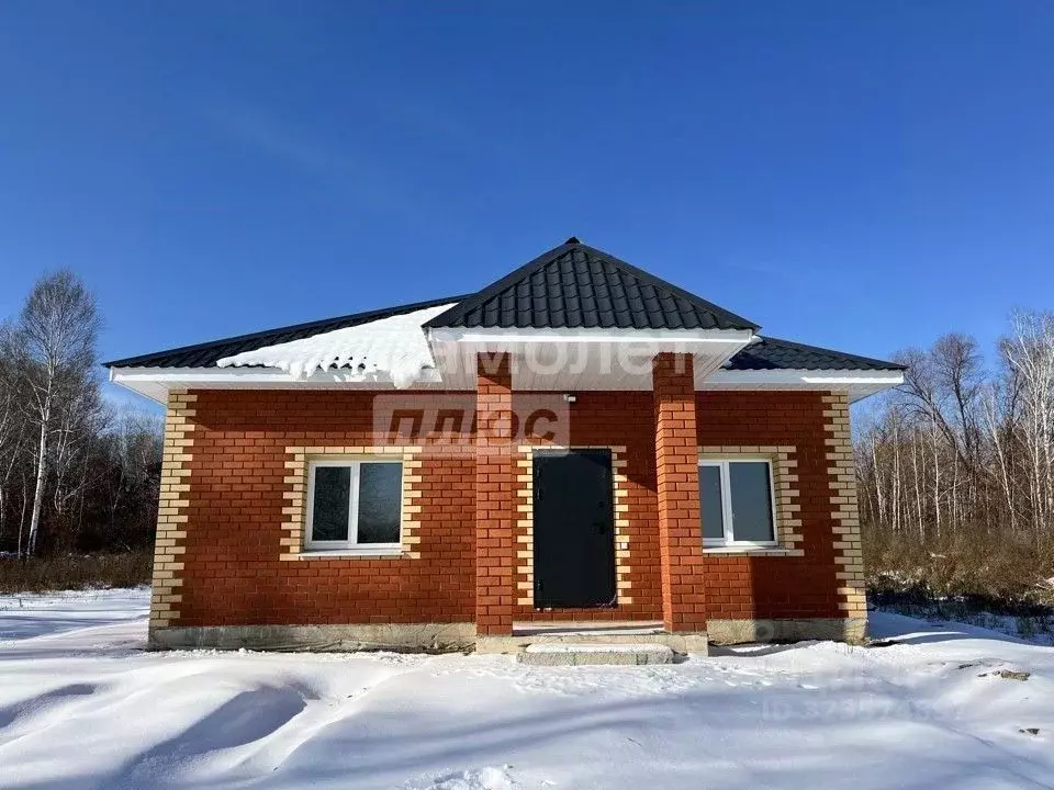 Дом в Амурская область, Благовещенский район, с. Кантон-Коммуна  (93 ... - Фото 1