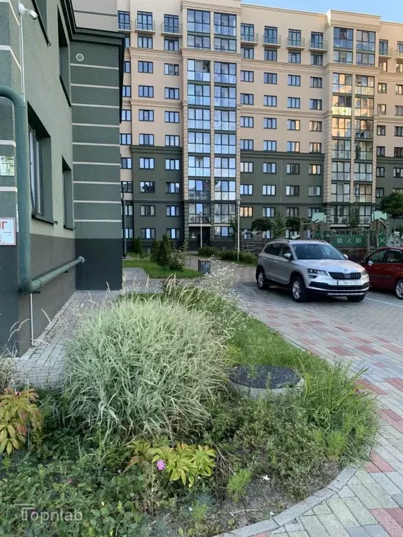 2-к кв. Калининградская область, Калининград Артиллерийская ул., 87 ... - Фото 2