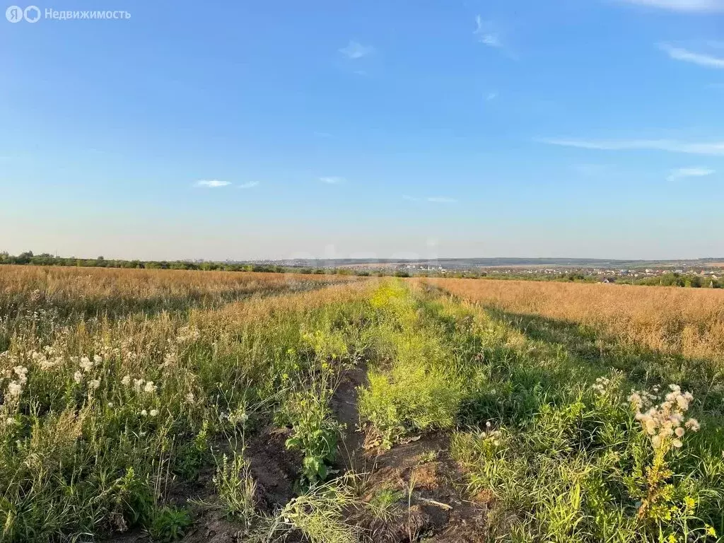 Участок в Республика Мордовия, Саранск (10 м) - Фото 2