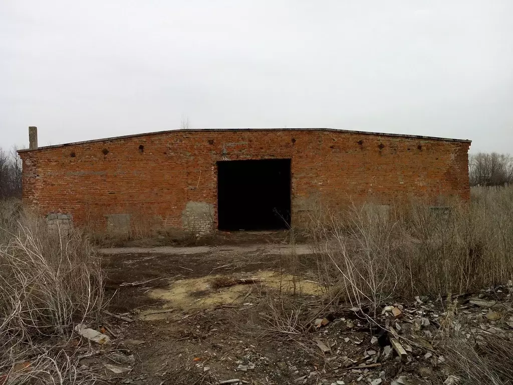 Помещение свободного назначения в Рязанская область, с. Захарово ул. ... - Фото 1