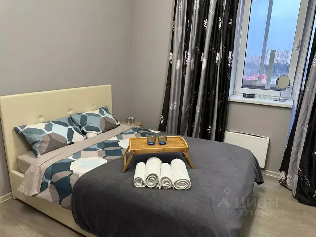 1-к кв. Московская область, Пушкино ул. Просвещения, 11к3 (30.0 м) - Фото 2