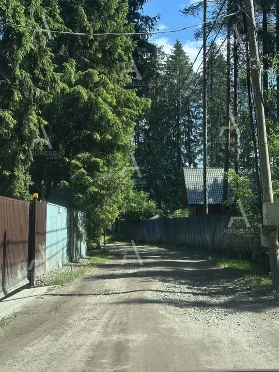 Участок в Ленинградская область, Выборгский район, Рощинское городское ... - Фото 1