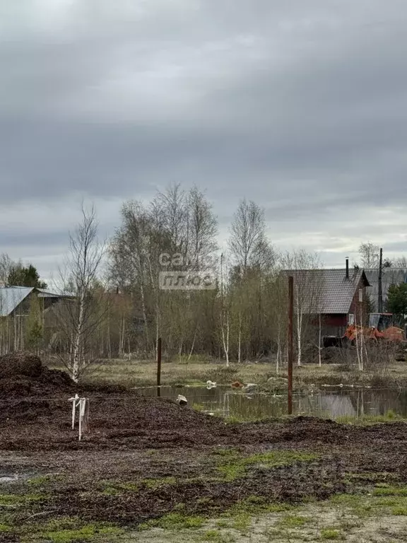 Участок в Ханты-Мансийский АО, Сургут Прибрежный-2 СТ,  (9.0 сот.) - Фото 1