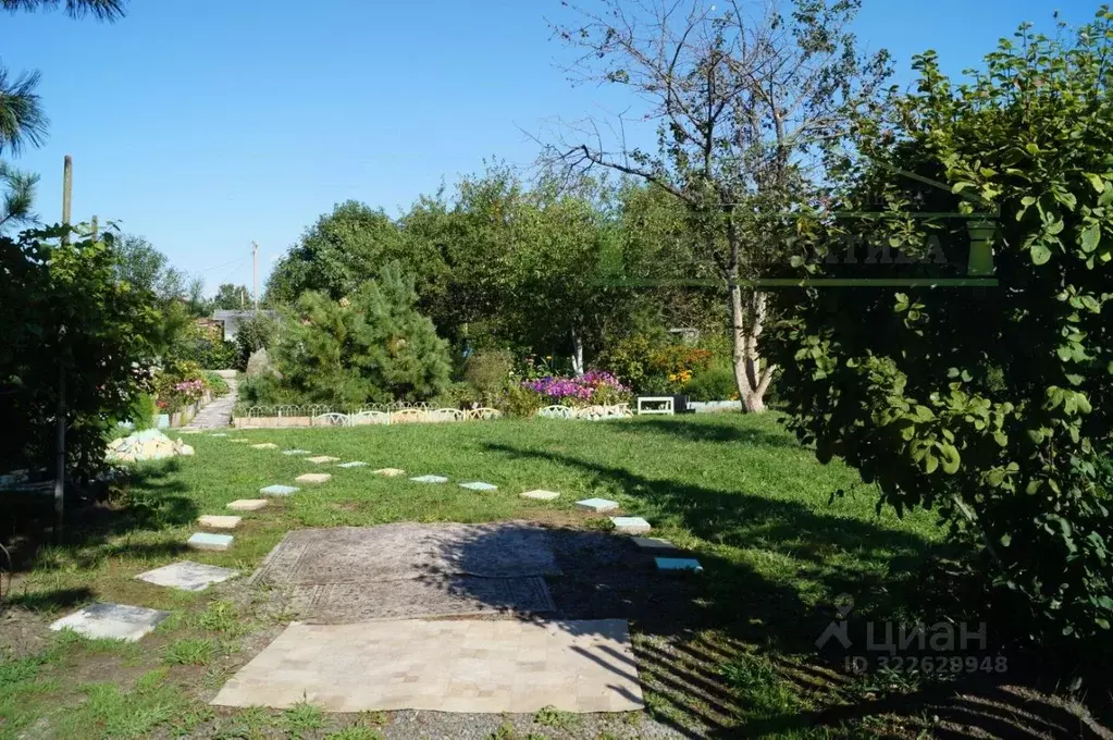 Участок в Приморский край, Надеждинский район, Спутник СНТ 31 (5.89 ... - Фото 2