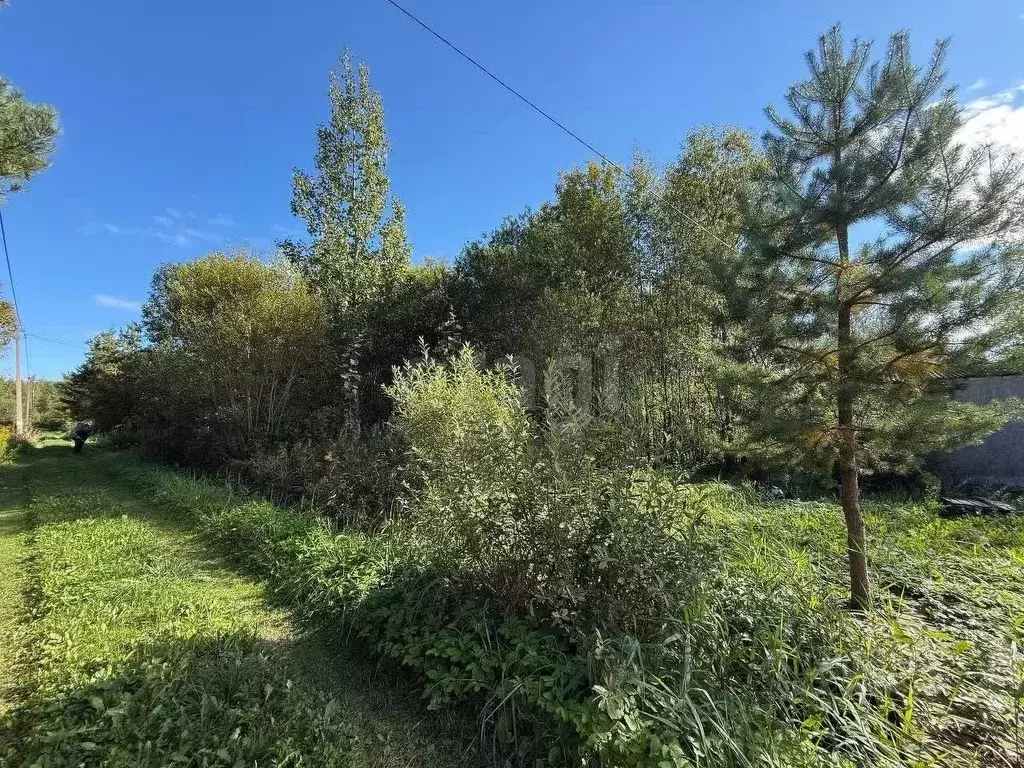 Участок в Ленинградская область, Волховский район, Кисельнинское ... - Фото 0