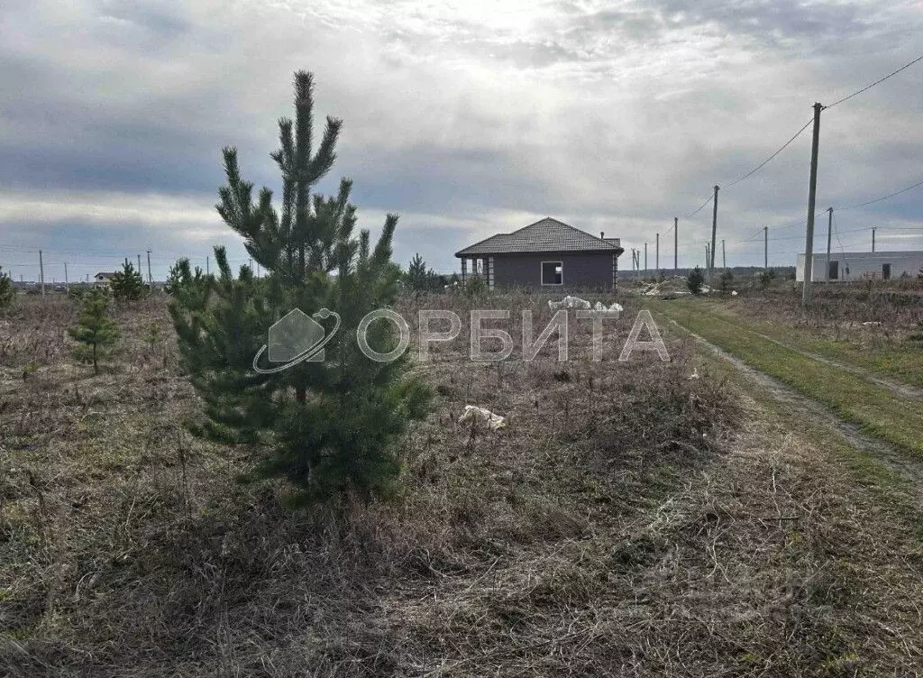 Участок в Тюменская область, Тюменский район, д. Елань 14 (10.5 сот.) - Фото 0