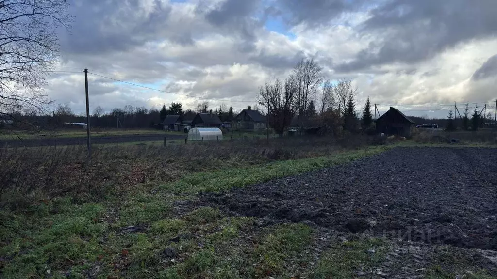 Дом в Ленинградская область, Волосовский район, Большеврудское с/пос, ... - Фото 2