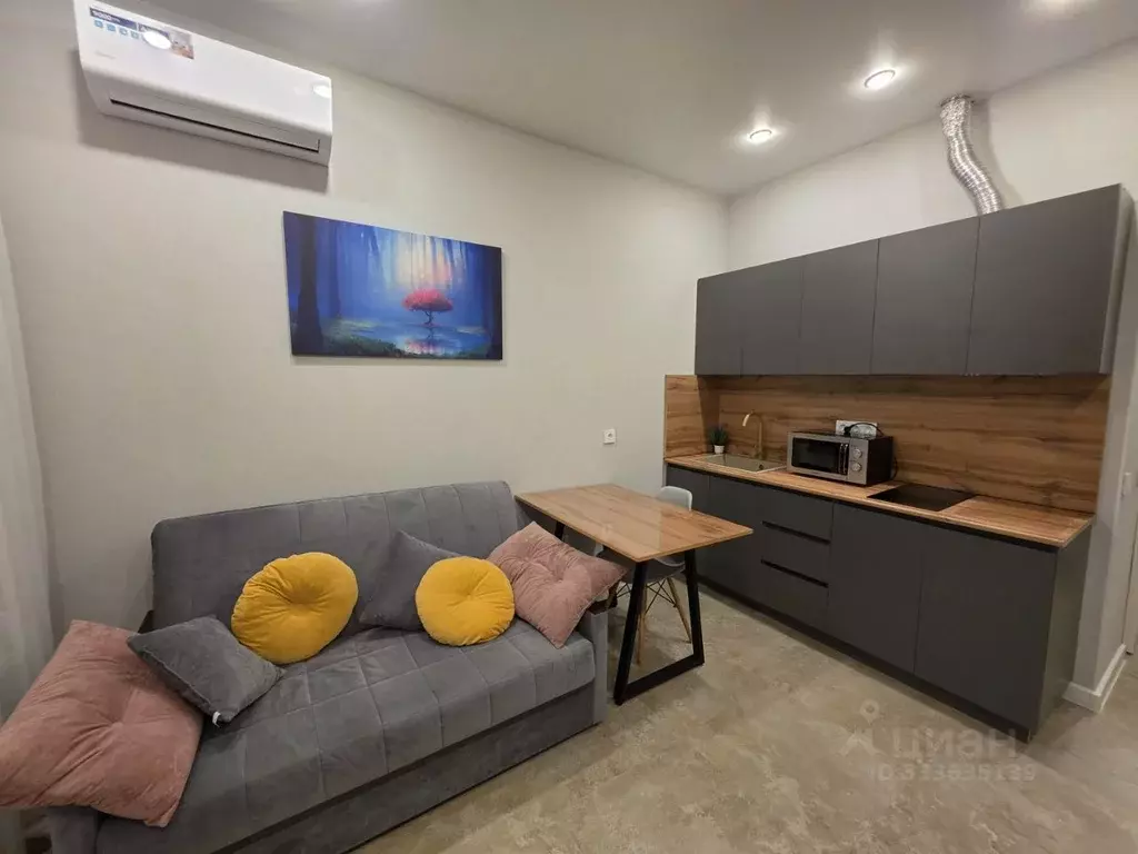 Студия Москва ул. Лобановский Лес, 13 (20.0 м) - Фото 1