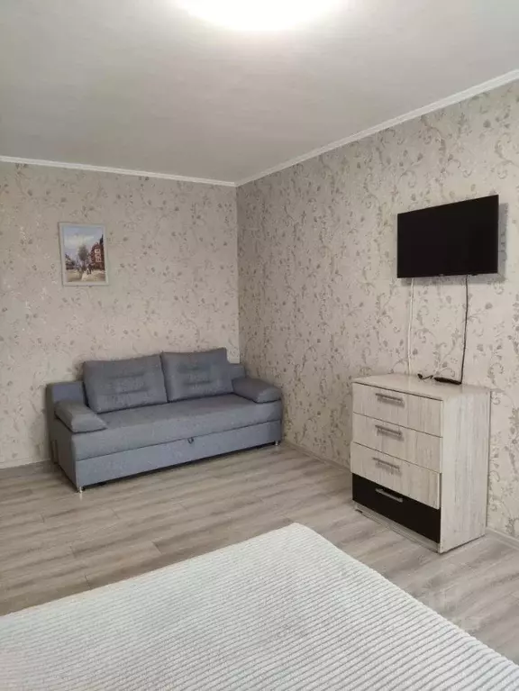 1-к кв. Омская область, Омск ул. Дмитриева, 1/2 (37.0 м) - Фото 0