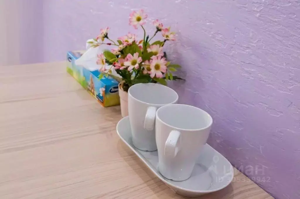 Комната Вологодская область, д. Бурцево ул. Солнечная, 2 (18.0 м) - Фото 2