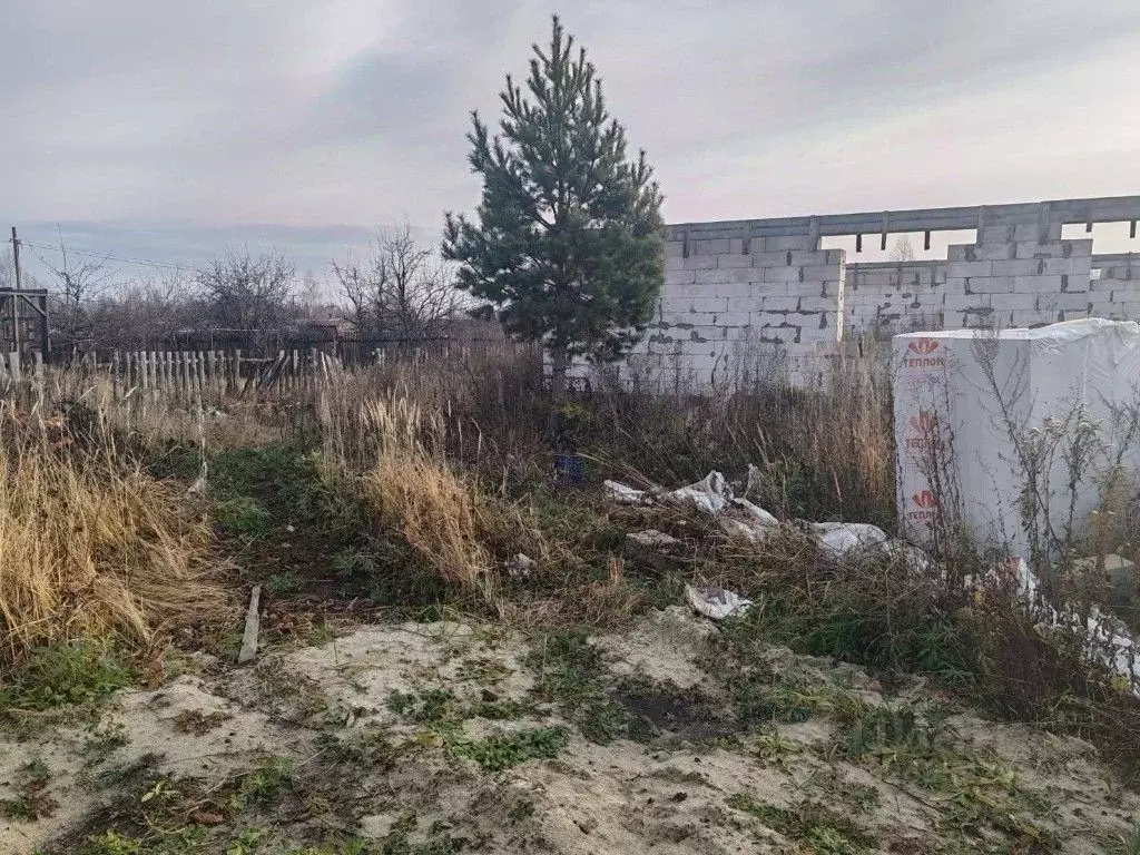 Участок в Ульяновская область, Ульяновск Дендрарий СНТ, 625 (6.0 сот.) - Фото 1