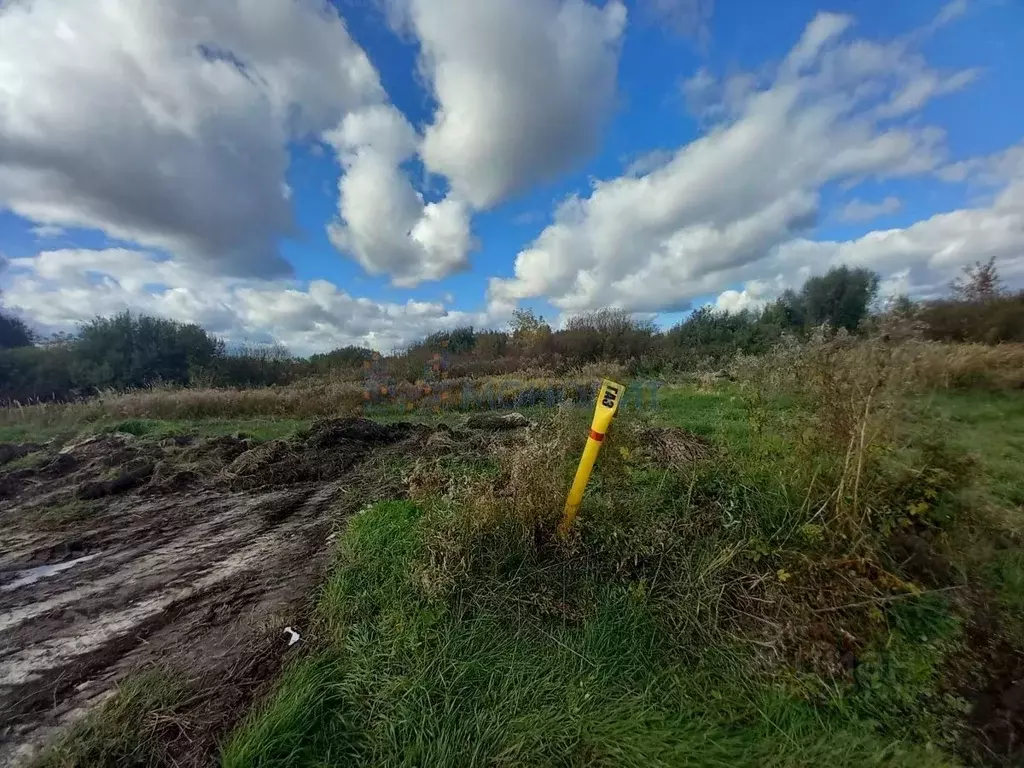 Участок в Нижегородская область, Богородский муниципальный округ, д. ... - Фото 2