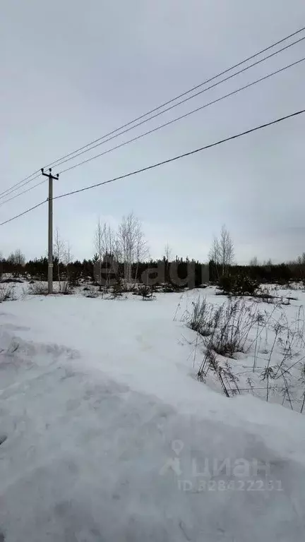 Участок в Липецкая область, Липецк Радужный кп, ул. Плодородная (9.6 ... - Фото 2