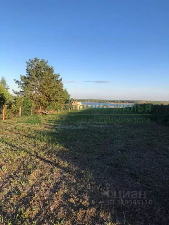 Участок в Саратовская область, Воскресенский район, Синодское ... - Фото 1