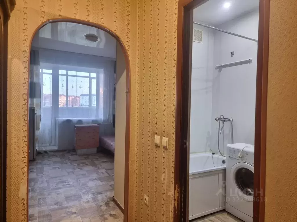 Студия Хакасия, Абакан просп. Дружбы Народов, 41А (20.0 м) - Фото 1